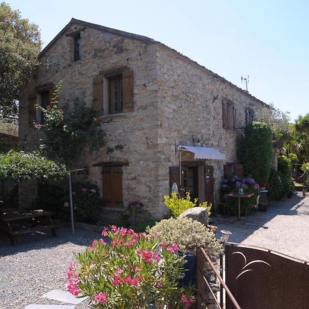 Casta A Casa Di Paulina Bed & Breakfast エクステリア 写真