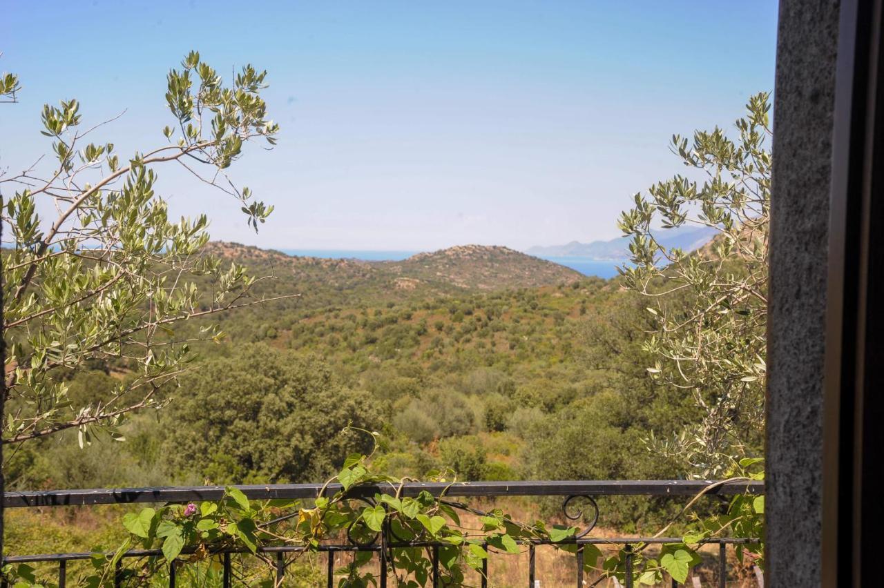 Casta A Casa Di Paulina Bed & Breakfast エクステリア 写真