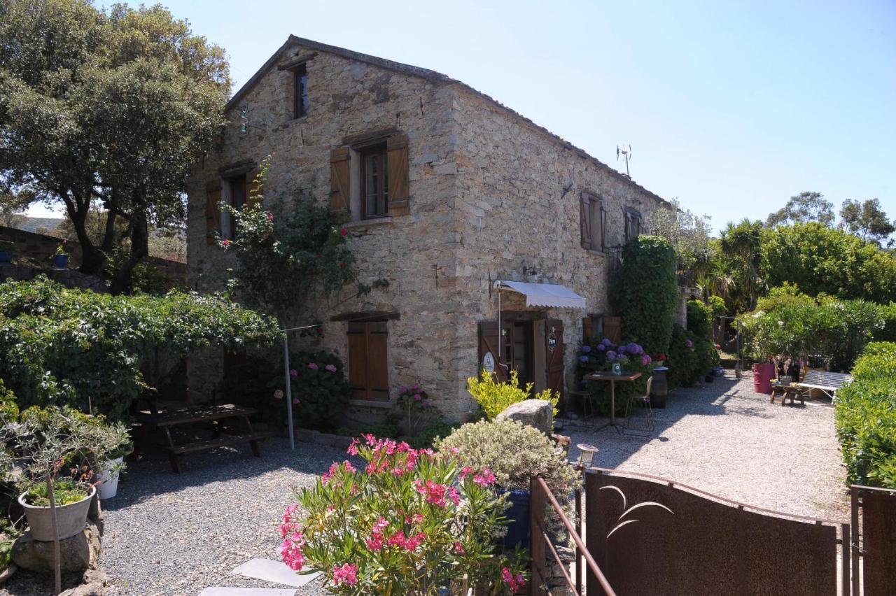 Casta A Casa Di Paulina Bed & Breakfast エクステリア 写真